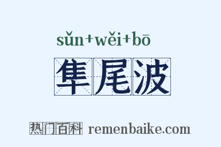 隼尾波是什么意思的图片